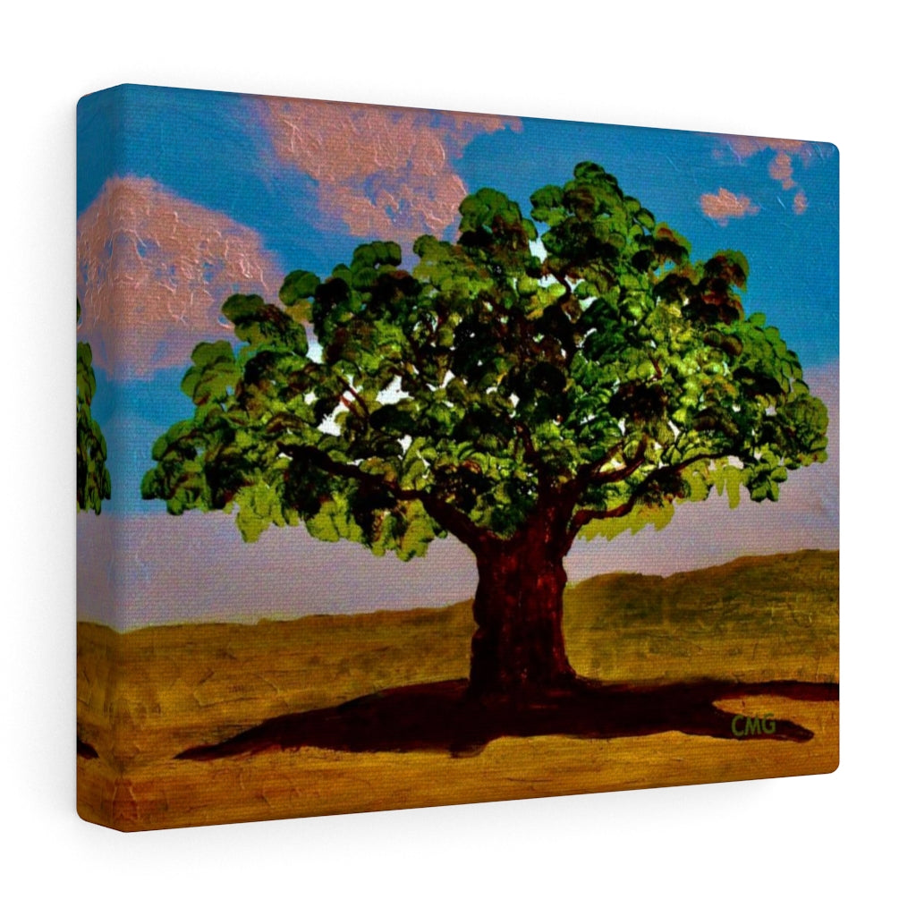 A TREE WAS PLANTED ON JESUS' BEHALF WHEN HE WAS BORN. In Jesus’ time, it was a Jewish tradition to plant a tree on behalf of every Jewish newborn.