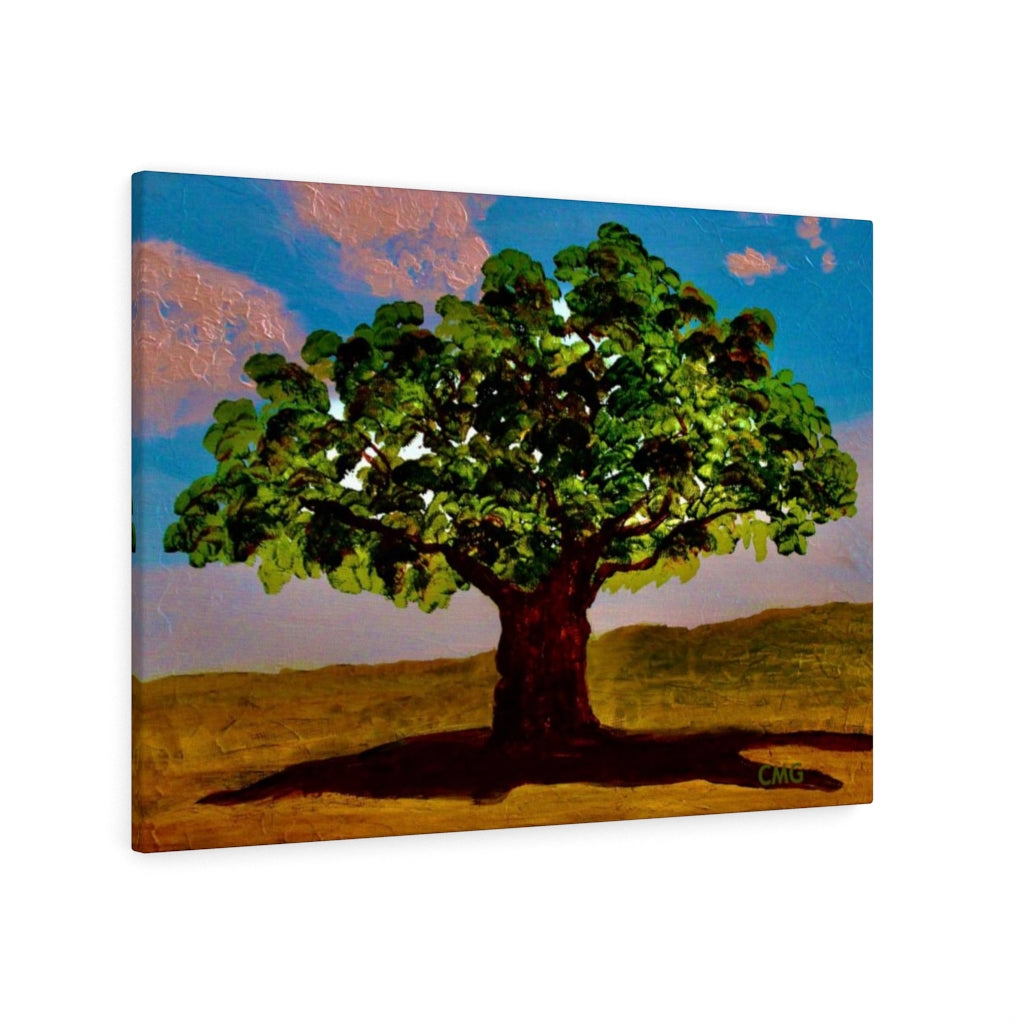 A TREE WAS PLANTED ON JESUS' BEHALF WHEN HE WAS BORN. In Jesus’ time, it was a Jewish tradition to plant a tree on behalf of every Jewish newborn.