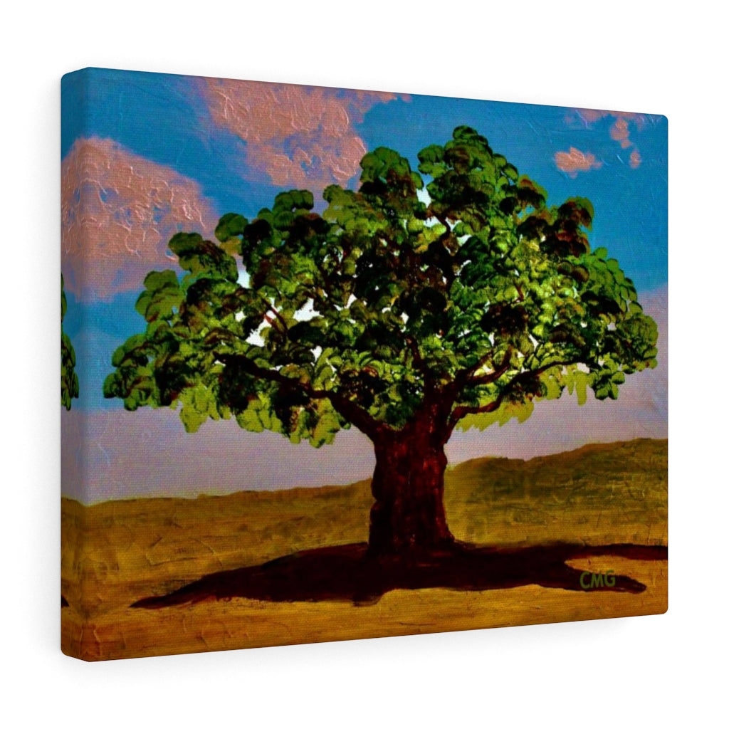 A TREE WAS PLANTED ON JESUS' BEHALF WHEN HE WAS BORN. In Jesus’ time, it was a Jewish tradition to plant a tree on behalf of every Jewish newborn.