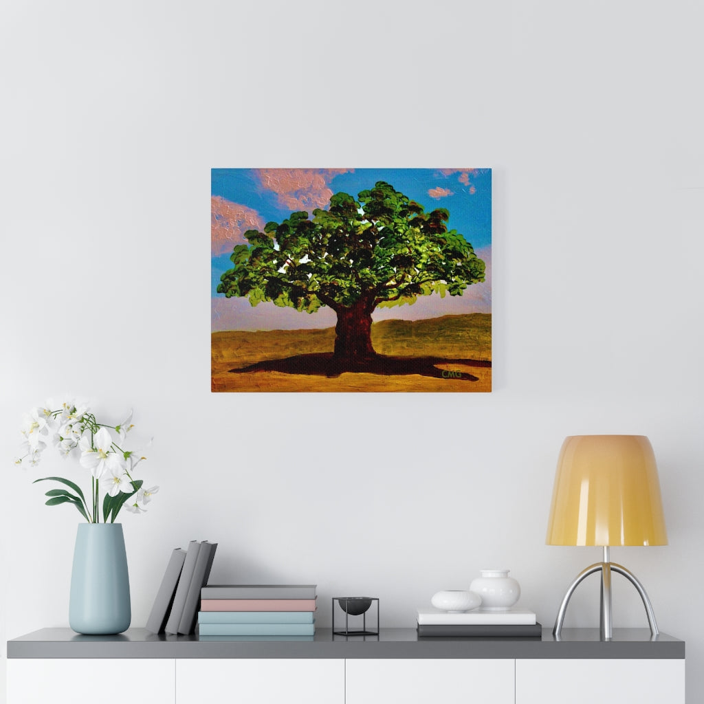 A TREE WAS PLANTED ON JESUS' BEHALF WHEN HE WAS BORN. In Jesus’ time, it was a Jewish tradition to plant a tree on behalf of every Jewish newborn.