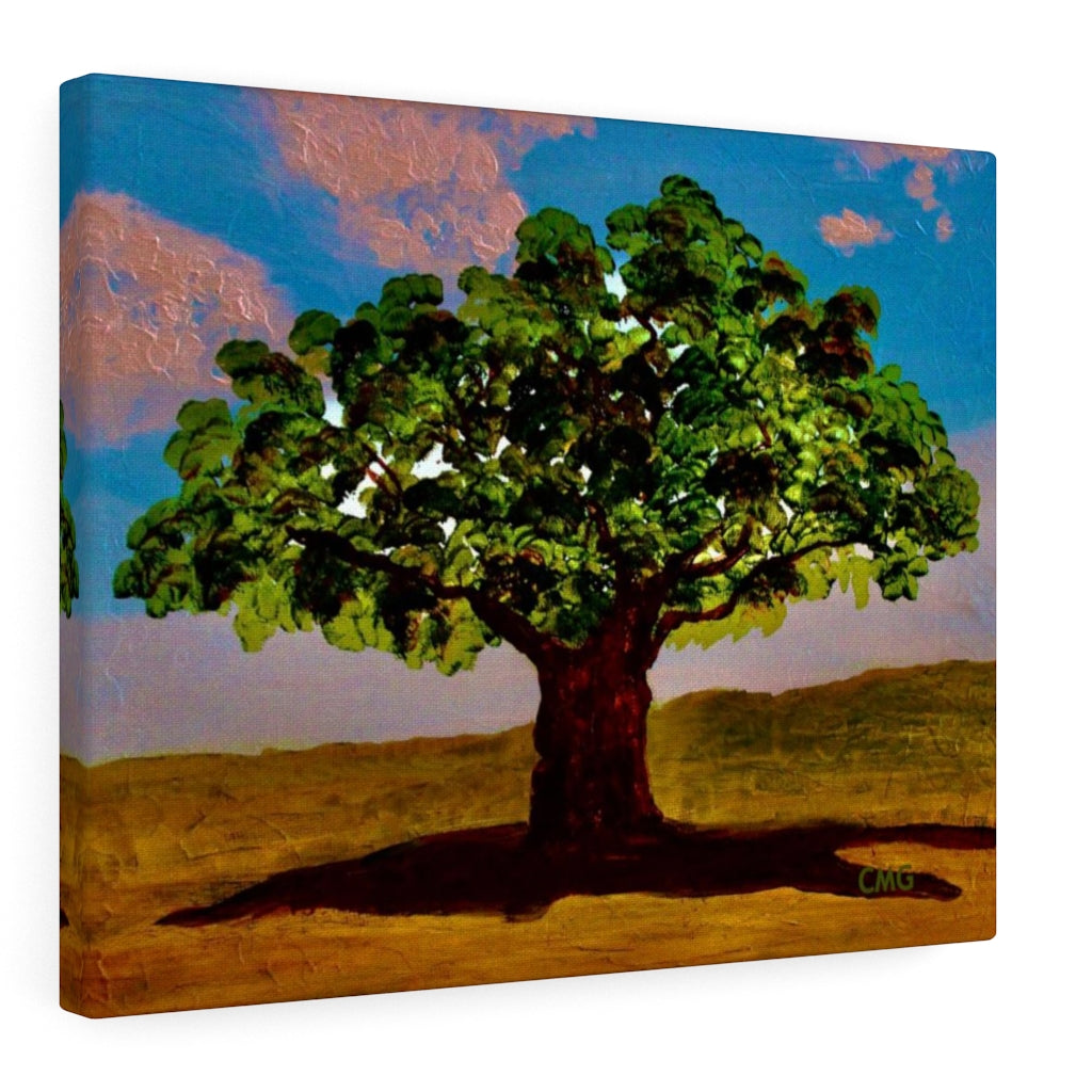 A TREE WAS PLANTED ON JESUS' BEHALF WHEN HE WAS BORN. In Jesus’ time, it was a Jewish tradition to plant a tree on behalf of every Jewish newborn.