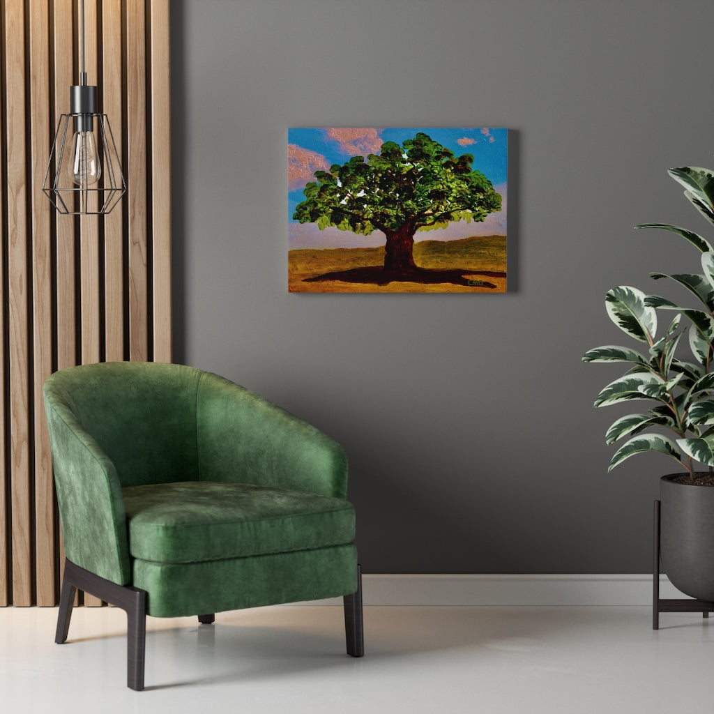 A TREE WAS PLANTED ON JESUS' BEHALF WHEN HE WAS BORN. In Jesus’ time, it was a Jewish tradition to plant a tree on behalf of every Jewish newborn.