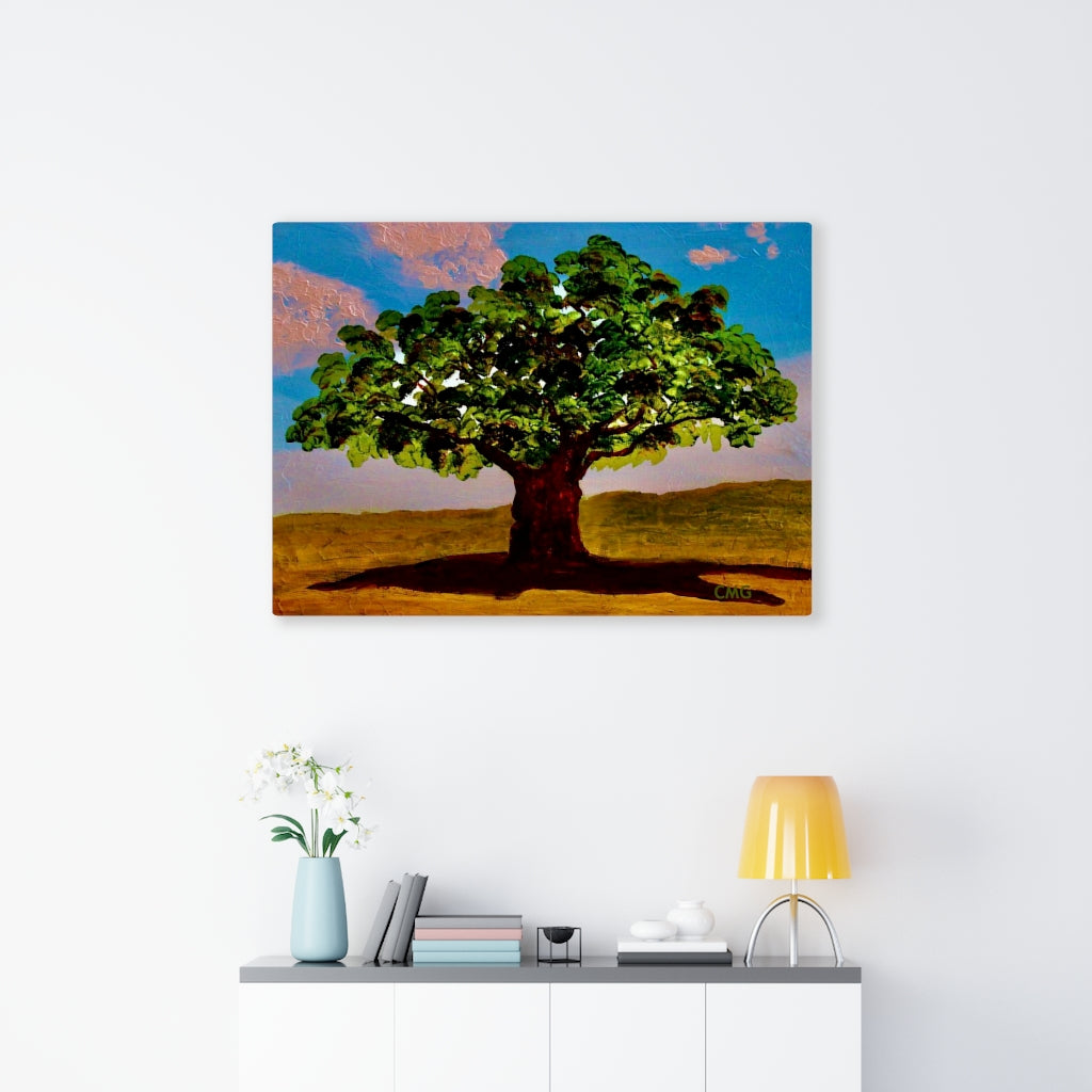 A TREE WAS PLANTED ON JESUS' BEHALF WHEN HE WAS BORN. In Jesus’ time, it was a Jewish tradition to plant a tree on behalf of every Jewish newborn.