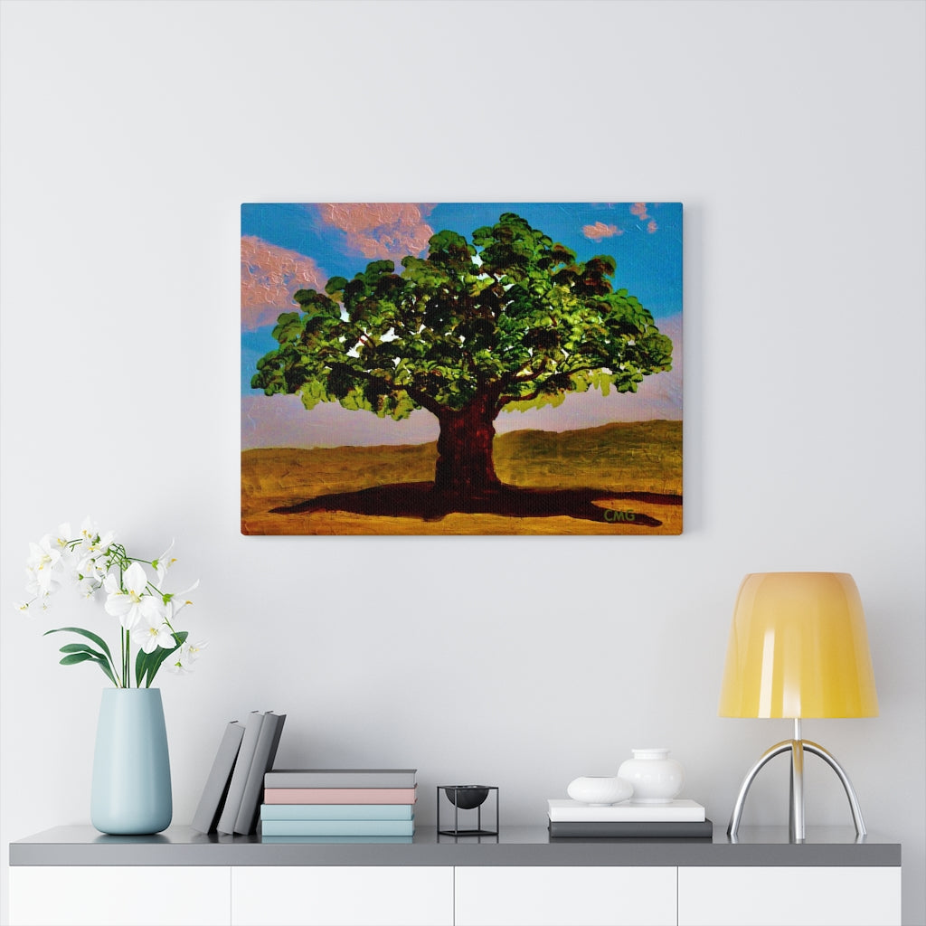 A TREE WAS PLANTED ON JESUS' BEHALF WHEN HE WAS BORN. In Jesus’ time, it was a Jewish tradition to plant a tree on behalf of every Jewish newborn.