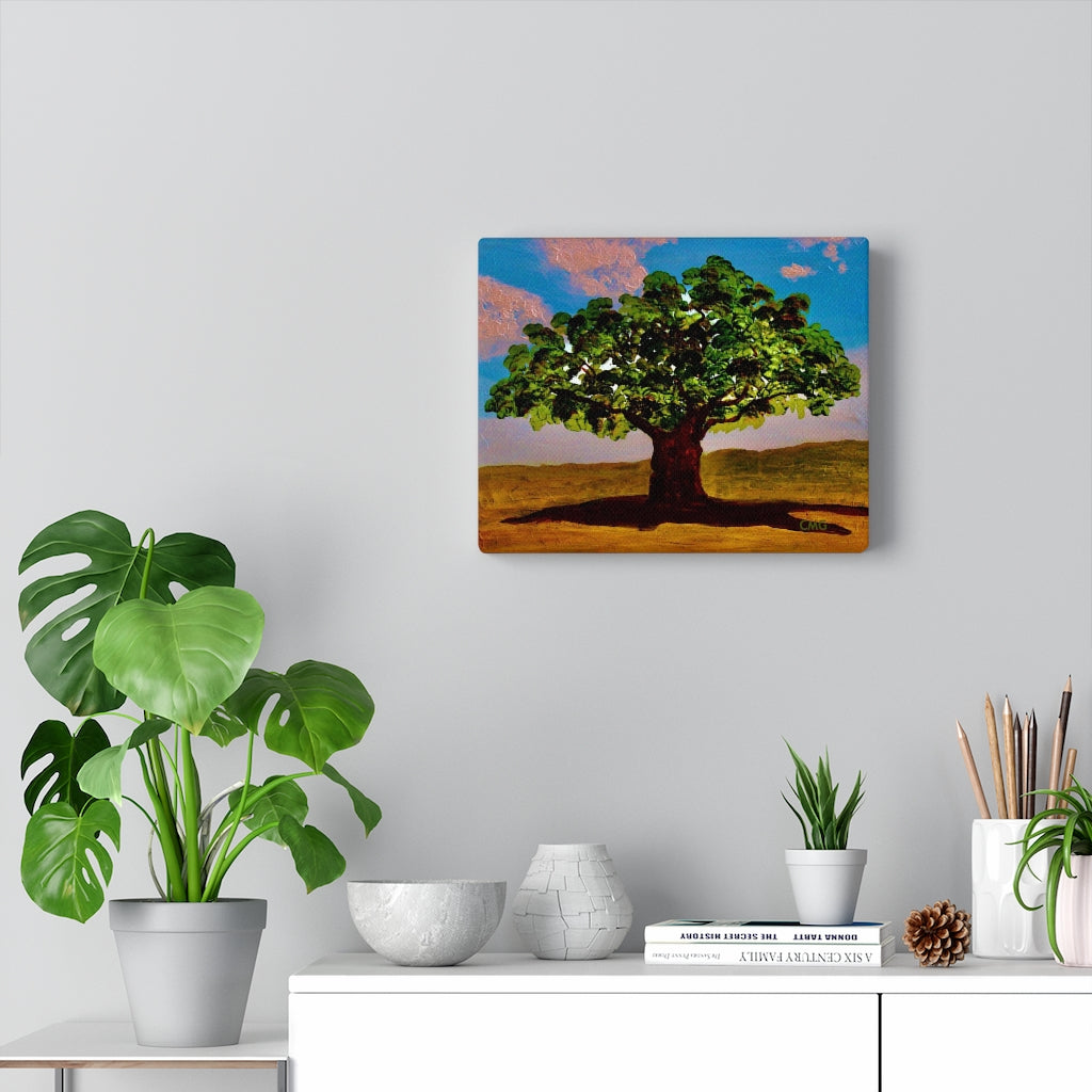 A TREE WAS PLANTED ON JESUS' BEHALF WHEN HE WAS BORN. In Jesus’ time, it was a Jewish tradition to plant a tree on behalf of every Jewish newborn.