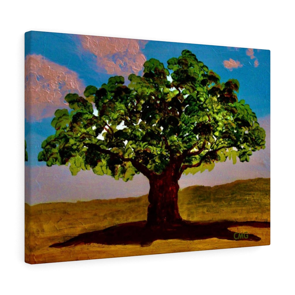 A TREE WAS PLANTED ON JESUS' BEHALF WHEN HE WAS BORN. In Jesus’ time, it was a Jewish tradition to plant a tree on behalf of every Jewish newborn.