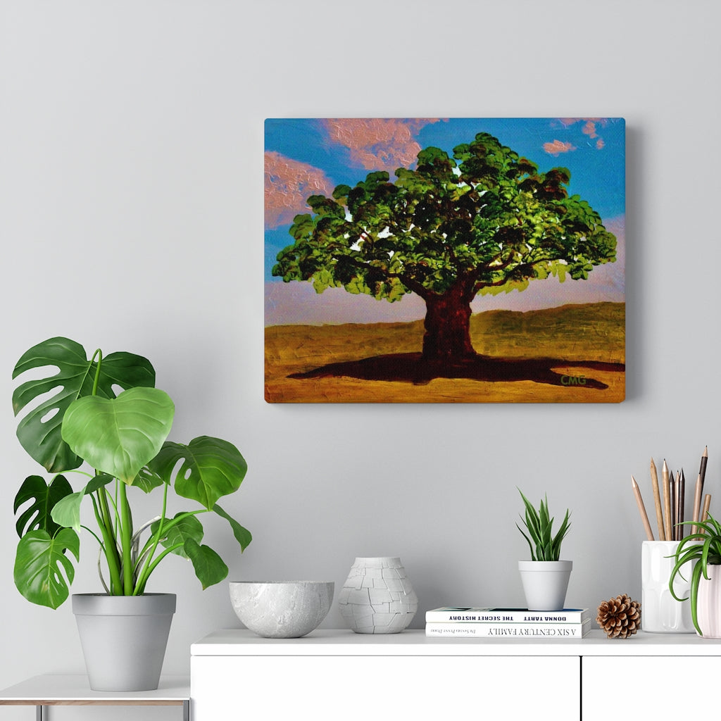 A TREE WAS PLANTED ON JESUS' BEHALF WHEN HE WAS BORN. In Jesus’ time, it was a Jewish tradition to plant a tree on behalf of every Jewish newborn.