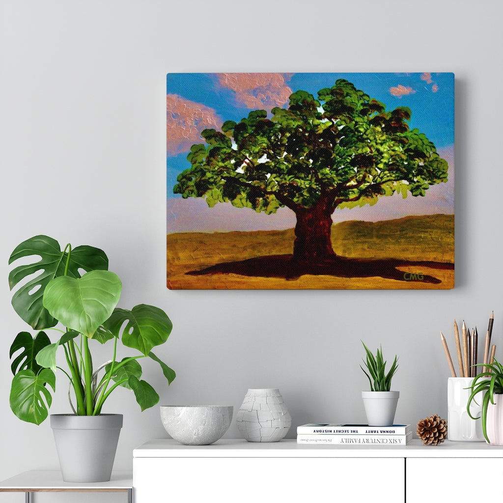 A TREE WAS PLANTED ON JESUS' BEHALF WHEN HE WAS BORN. In Jesus’ time, it was a Jewish tradition to plant a tree on behalf of every Jewish newborn.