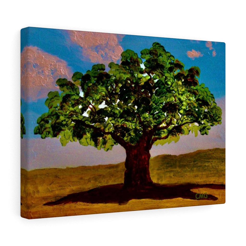 A TREE WAS PLANTED ON JESUS' BEHALF WHEN HE WAS BORN. In Jesus’ time, it was a Jewish tradition to plant a tree on behalf of every Jewish newborn.